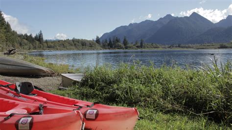 Visit Lake Quinault Things To Do The Olympic Peninsula Wa