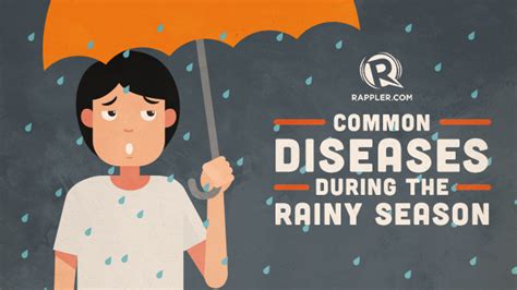 doh s tips to protect yourself against the common rainy season diseases