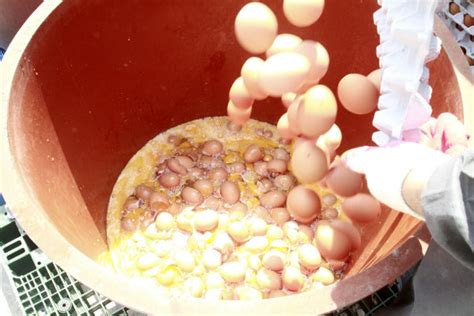 살충제 계란 음성군 생극면 친환경농장 비펜트린 기준치 6배 음성타임즈