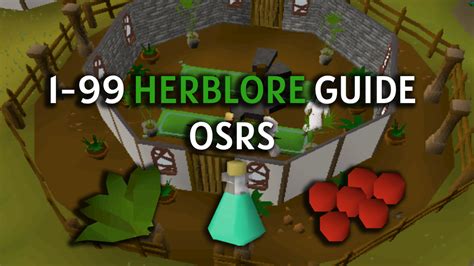 Complete 1 To 99 Herblore Guide Osrs Fast Cheap Rprogp