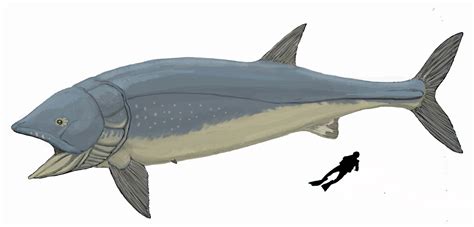 The leedsichthys project, peterborough, united kingdom. 世界一シリーズ2 リードシクティス | Yoniki Page