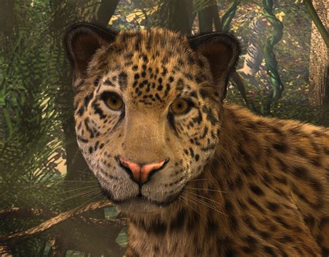 Jaguar Big Cat Face · Free Image On Pixabay