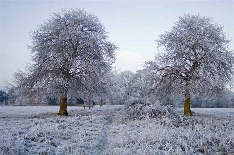 PETER'S LANDSCAPES: Winter Frost