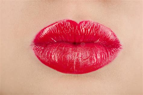 Beautiful Female Lips Stock Photo Image Of Beautiful 85089914