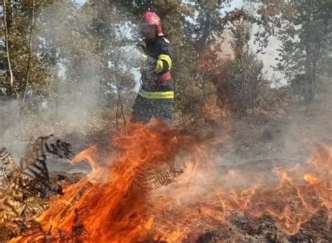 Pompierii Rom Ni Continu Lupta Cu Incendiile Din Fran A Video Replicaonline Ro