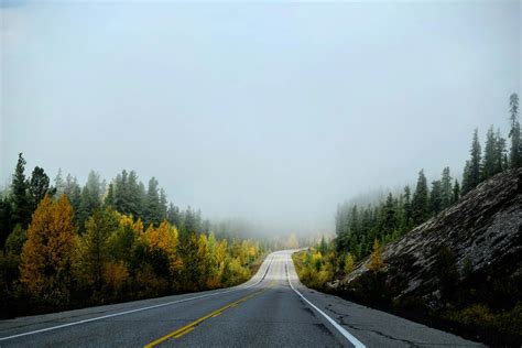 Empty Country Road In Fog · Free Stock Photo