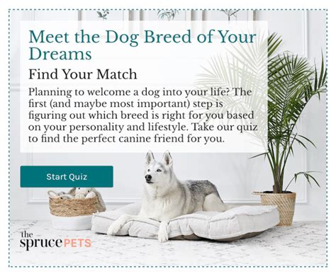 8 Dog Breed Selector Tools For Find Your Perfect Dog