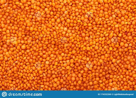Top View Of Uncooked Organic Red Lentil Stock Photo Image Of