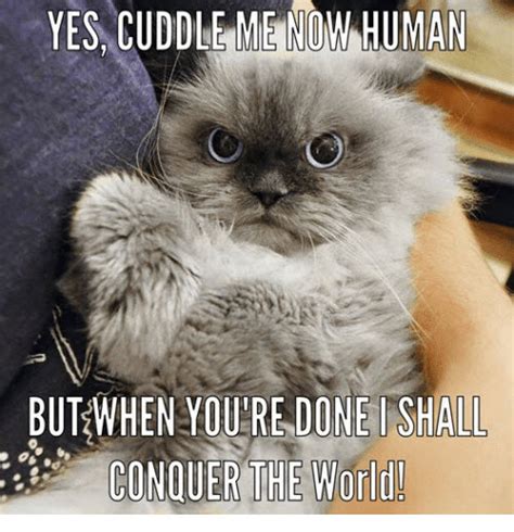 The Best 20 Cutest Cuddle Memes Ann Portal