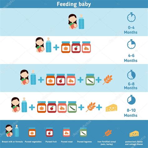 Voeding Baby Infographics Stock Vector By ©ninamunha 108848378