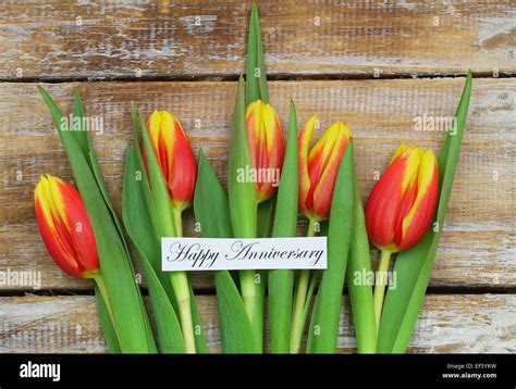 Happy Anniversary Card With Red And Yellow Tulips Stock Photo Alamy