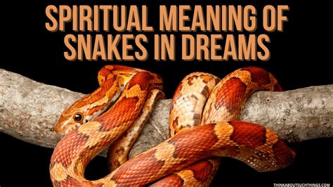 The Biblical Meaning Of Snakes In Dreams Think About Such Things