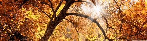 Fall Dual Monitor Wallpapers Top Free Fall Dual Monitor Backgrounds
