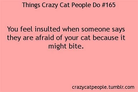 Things Crazy Cat People Do Crazy Cat People Crazy Cats Crazy Cat Lady