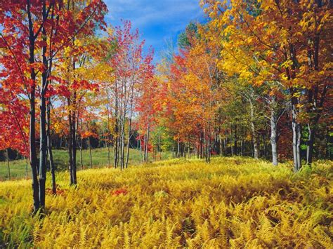 See Vermont Fall Foliage In These 15 Beautiful Places Vermont Fall