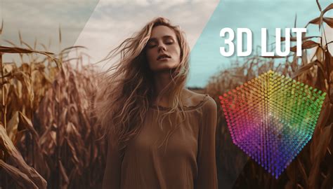 Elevate Color Adjustments With 3d Luts For Superior Results Learn