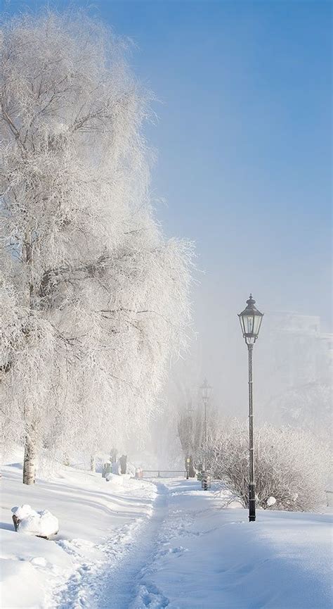 Beautiful Winter Landscape Winter Scenes Nature