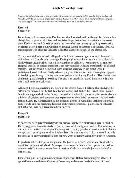 Scholarship Essay Examples 10 In Pdf Examples