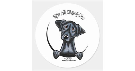 Black Lab Its All About Me Classic Round Sticker Zazzle