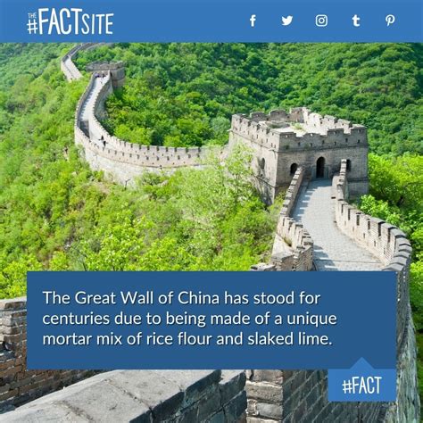 5 Fun Facts About The Great Wall Of China The Fact Site In 2021 Fun