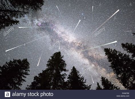 Pine Trees Silhouette Milky Way Falling Stars Stock Photo Alamy