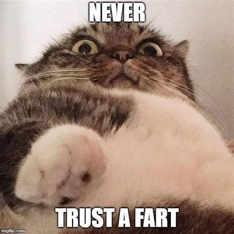 Never Trust A Fart Imgflip