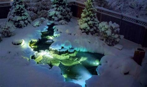 How To Keep Koi Safe In Winter Platinum Ponds And Landscaping