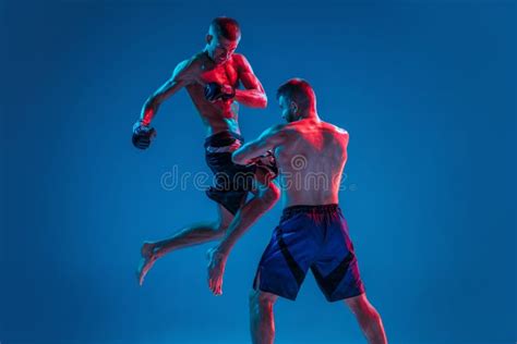 Mma Two Professional Fighters Punching Or Boxing Isolated On Blue