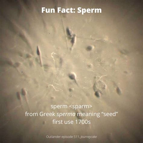 Fun Fact Sperms Outlander Anatomy