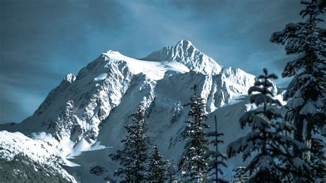 Download Wallpaper 1366x768 Mountains Snowy Trees Forest Winter