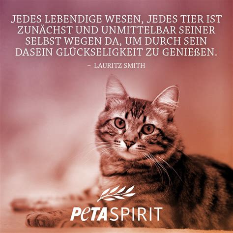In a perfect world, animals would be free to live their lives to the fullest: Pin by Simone neugebauer on Katzen in 2020 | Peta, Animal ...