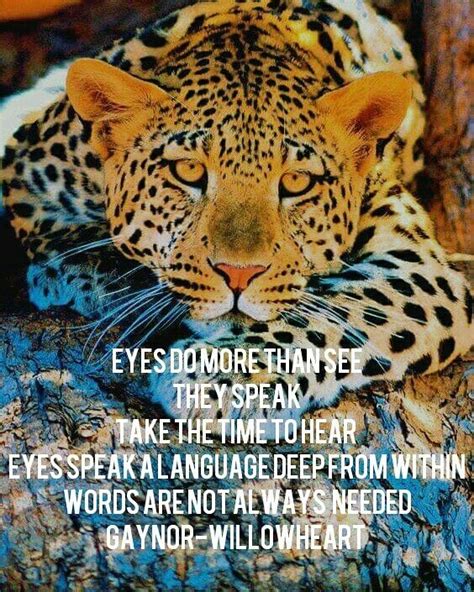 Pin By Gaynor Challingsworth On Inspirational Quotes Eyes Speak