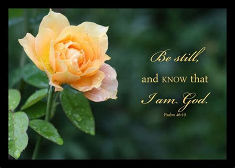 Bible Verse Art Psalm 46 verse 10 Yellow Rose Photo Be still | Etsy