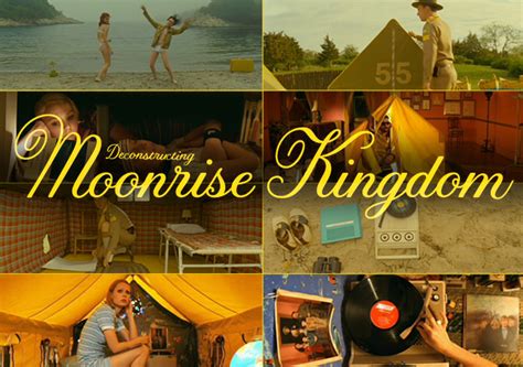 What Kind Of Bird Are You Deconstructing The ‘moonrise Kingdom