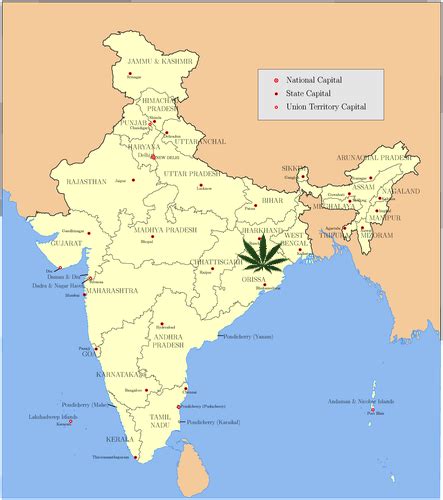 View a variety maps of india physical, political, relief map. India man busted selling herb out of temple | Toke of the Town