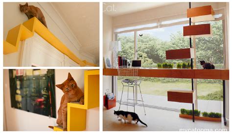 7 Steps To Creating A Cat Friendly Home Modern Cat Images