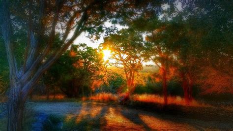 Texas Hill Country Sunrise Photograph By Rod Cuellar