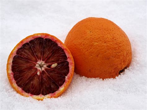 Orange Sanguine Agrumes La · Photo Gratuite Sur Pixabay