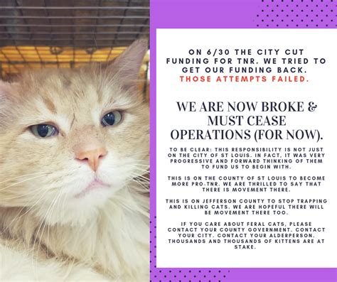 We Are Incredilbly Sad And St Louis Feral Cat Outreach Facebook