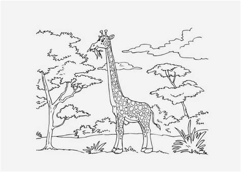 Download Jungle Scene Coloring Pages Realistic Coloring Pages
