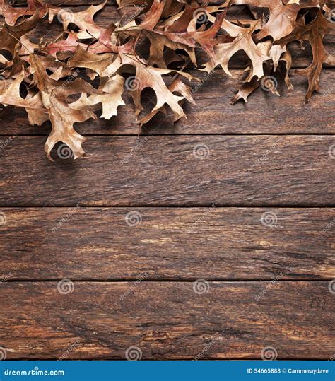 Leaves Wood Autumn Background Stock Photo Image Of Weathering Aged