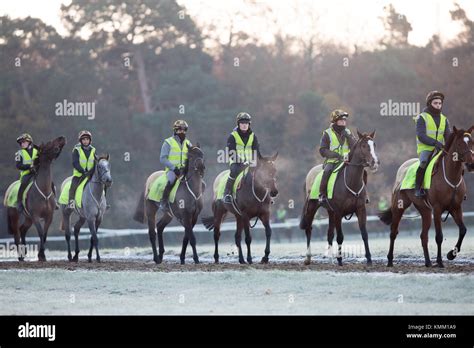 Racehorses Training On Newmarket Heath In Suffolk On Friday Morning