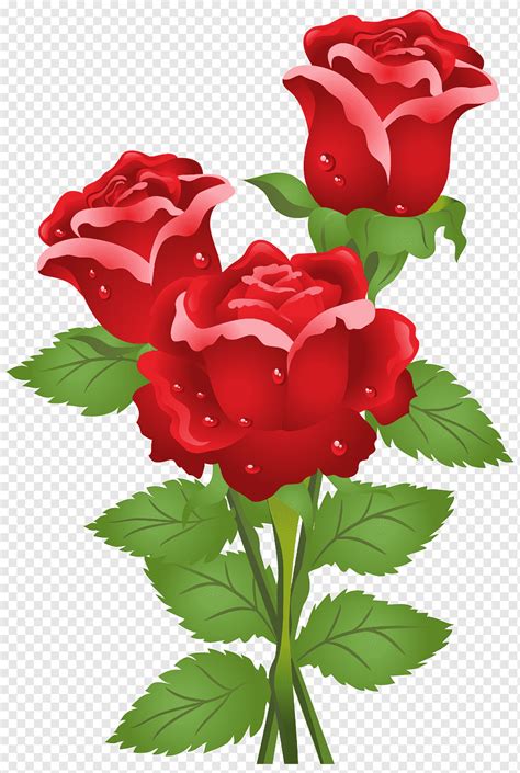 Gambar Bunga Mawar Kartun Denah