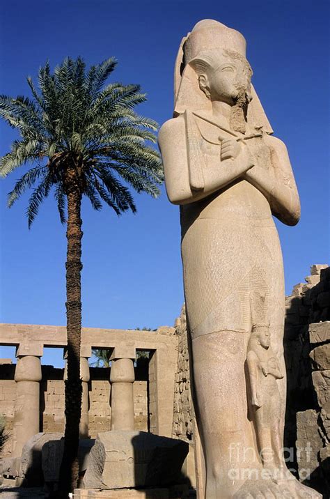 Majestic Statue Of Ramses Ii At Karnak Temple Photograph By Sami Sarkis