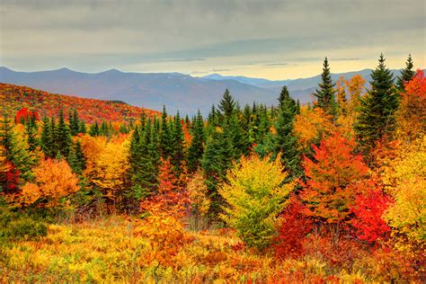 Wineries & vineyards in new england. The Best Places to See Fall Foliage in New Jersey | Royal ...