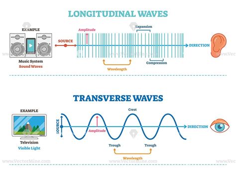 Longitudinal and Transverse wave type – VectorMine | Longitudinal wave