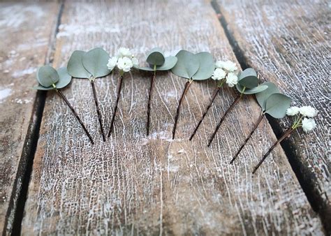 Eucalyptus Babys Breath Hair Bobby Pins Gypsophila Hair Etsy Australia