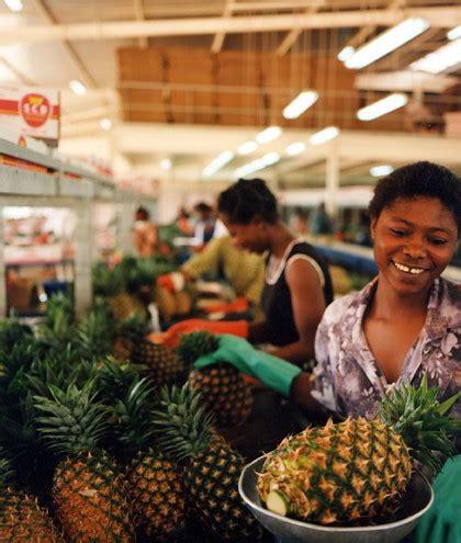 Decent and productive employment for every filipino worker. The People of Dole | International Labor Organization ...