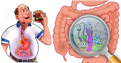 Gastroenteritis is an irritation and inflammation of the stomach lining and intestines that causes vomiting and/or diarrhea. Gastroenteritis Causes, Symptoms and Treatment - Mediologiest