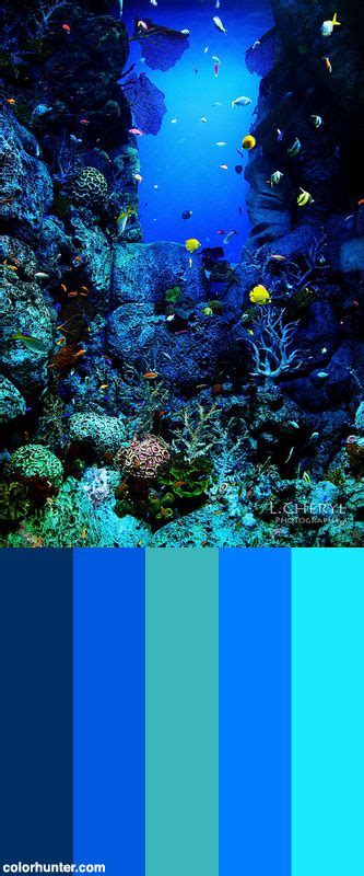 Underwaterworldcolorscheme Ocean Color Palette Ocean Colors